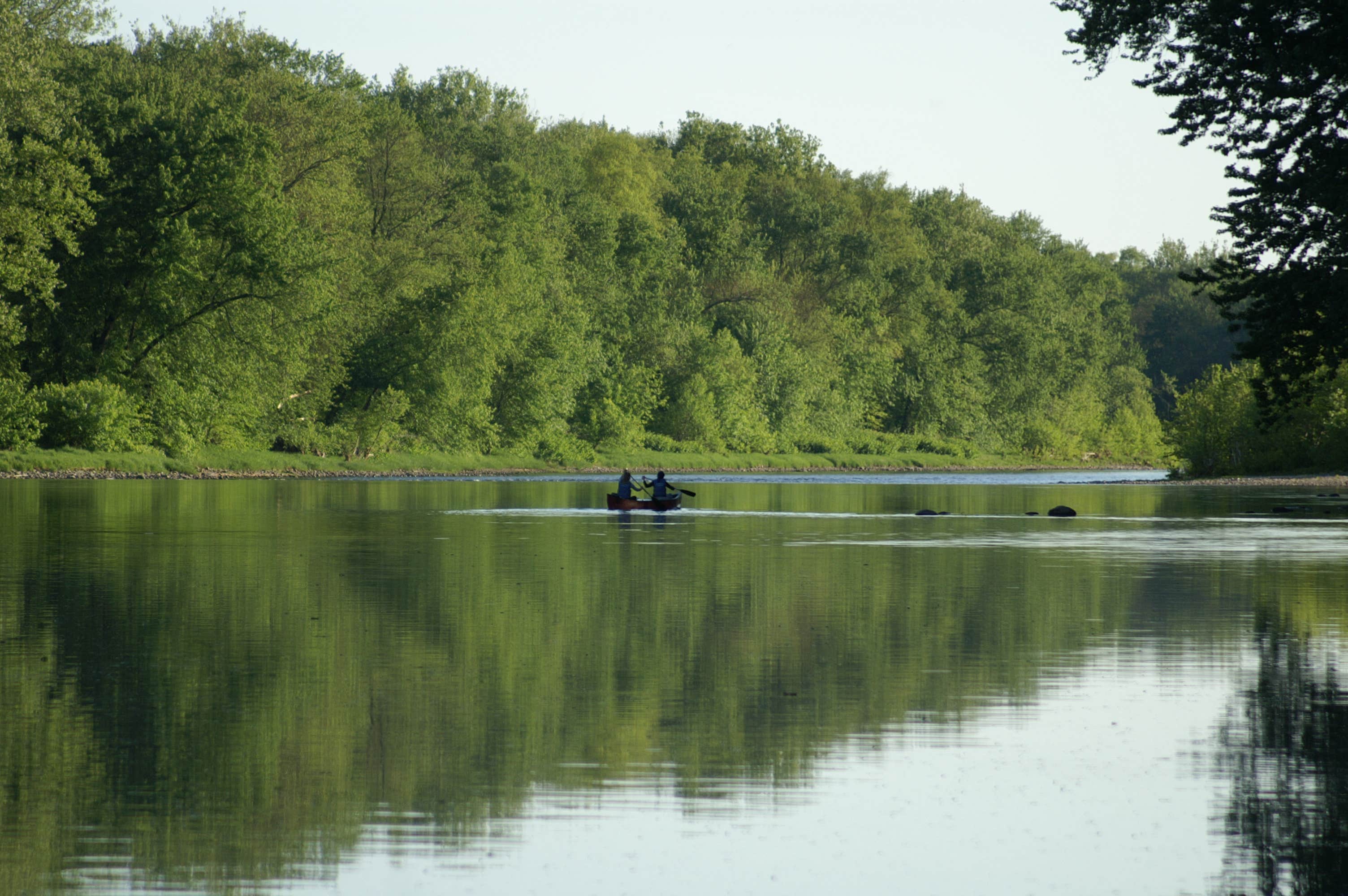 Camper submitted image from Hornbeck's River Campsites - 2