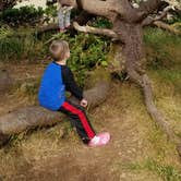 Review photo of Nehalem Bay State Park Campground by Minta J., June 4, 2021
