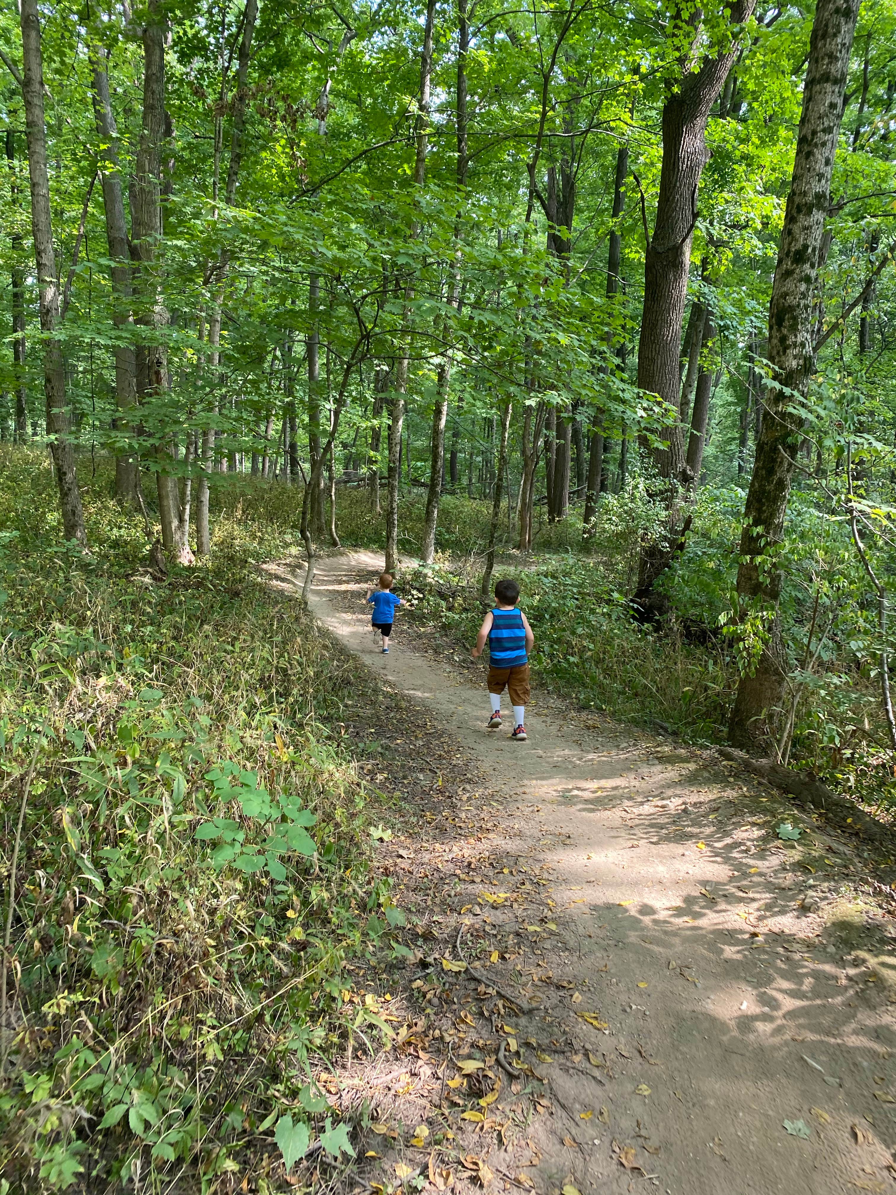 Camper-submitted photo at Hardin Ridge near Hoosier National Forest
