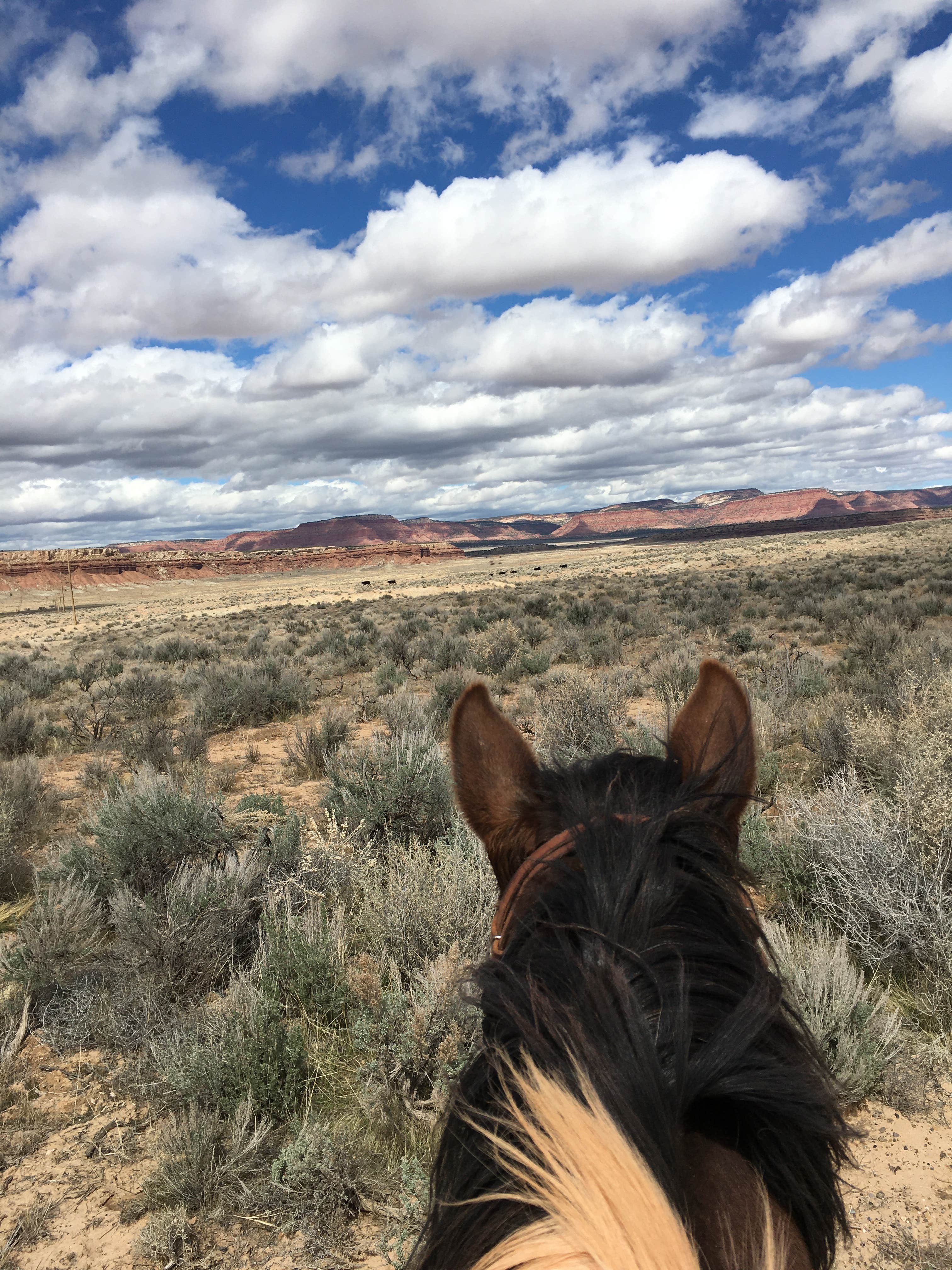 Camper submitted image from Ethel's Hideout RV park and Campground: Kanab - 4