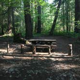 Review photo of Natural Bridge Campground by Lanie G., June 8, 2018