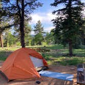 Review photo of Staunton State Park Campground by gabe , June 10, 2021