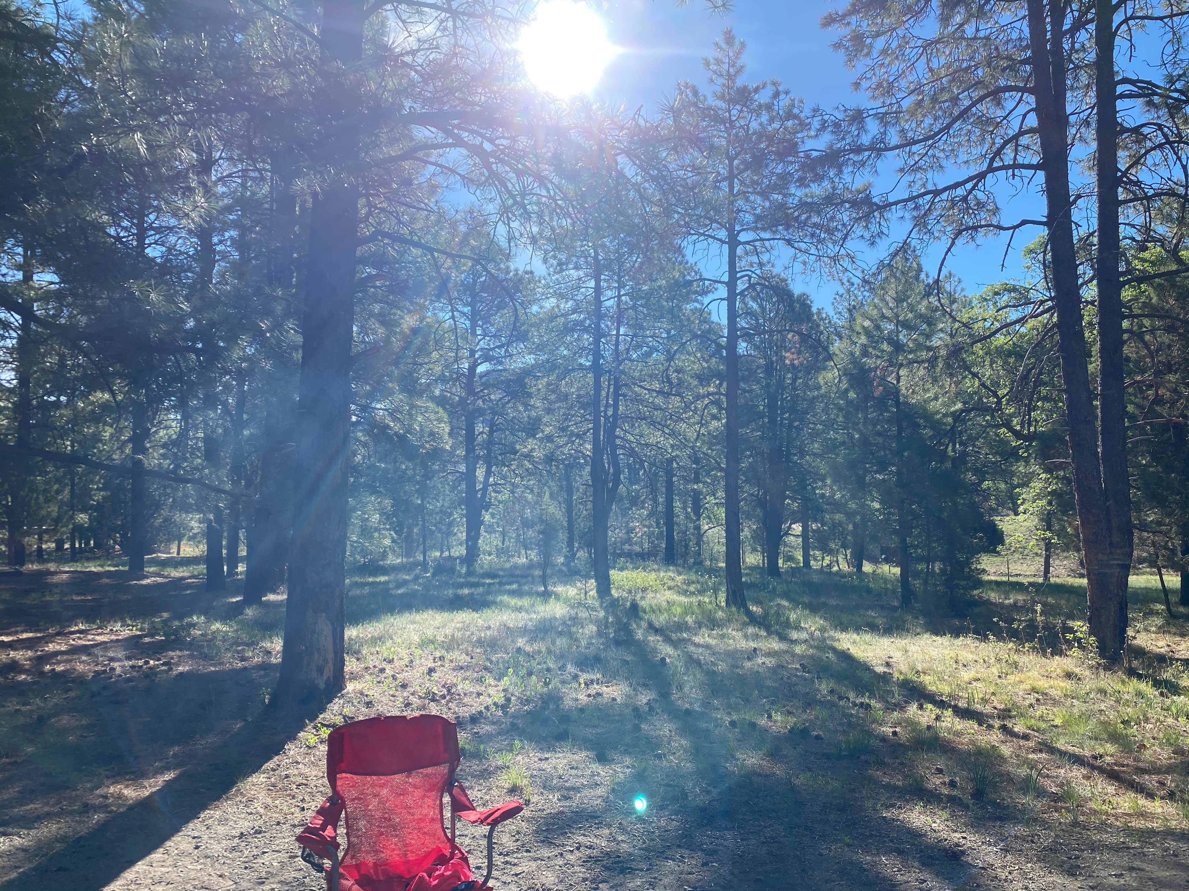 Escape to Bliss: Uncovering the Magic of Potato Patch Campground, Northern California