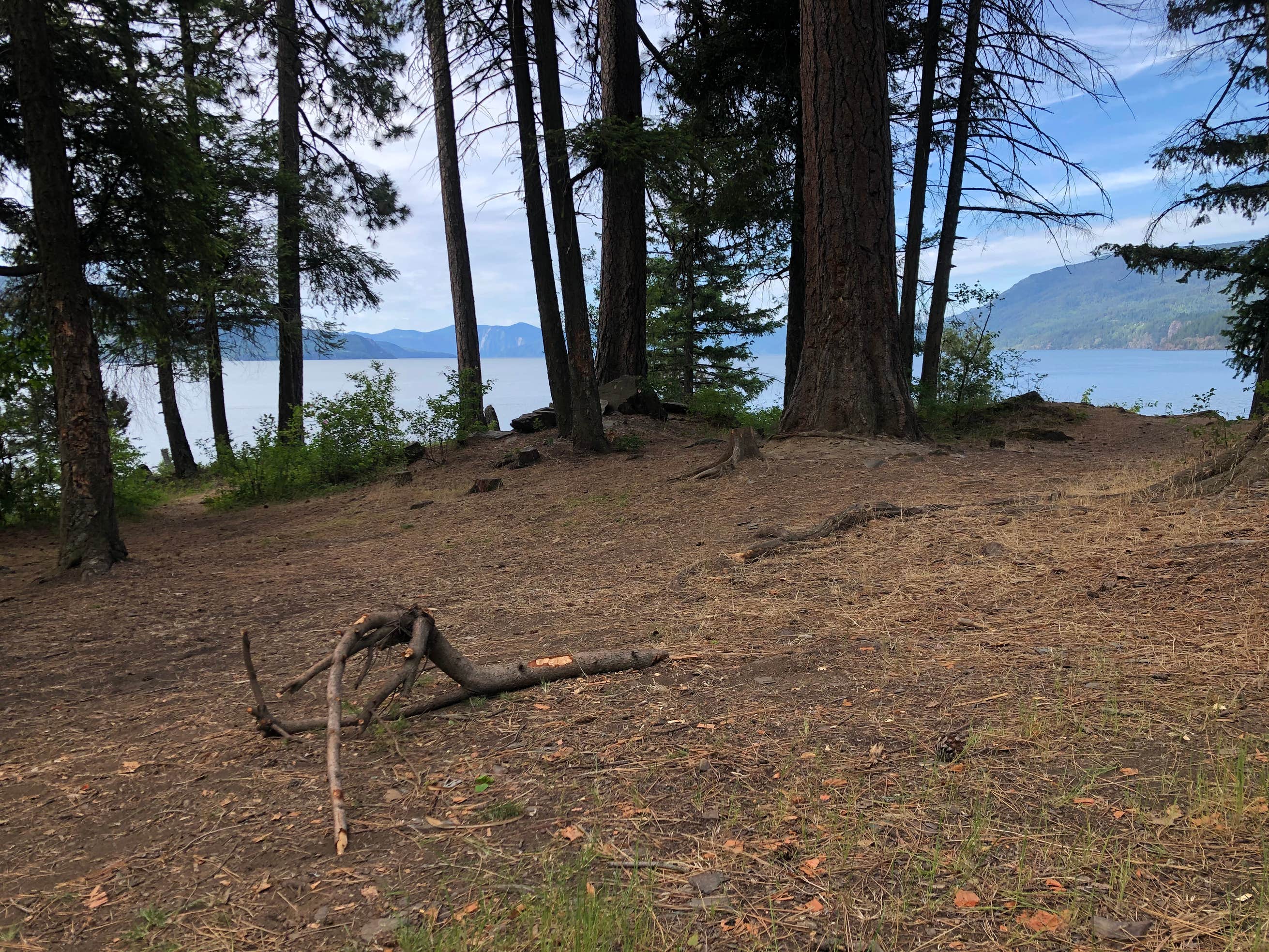 Green Bay Campground The Dyrt