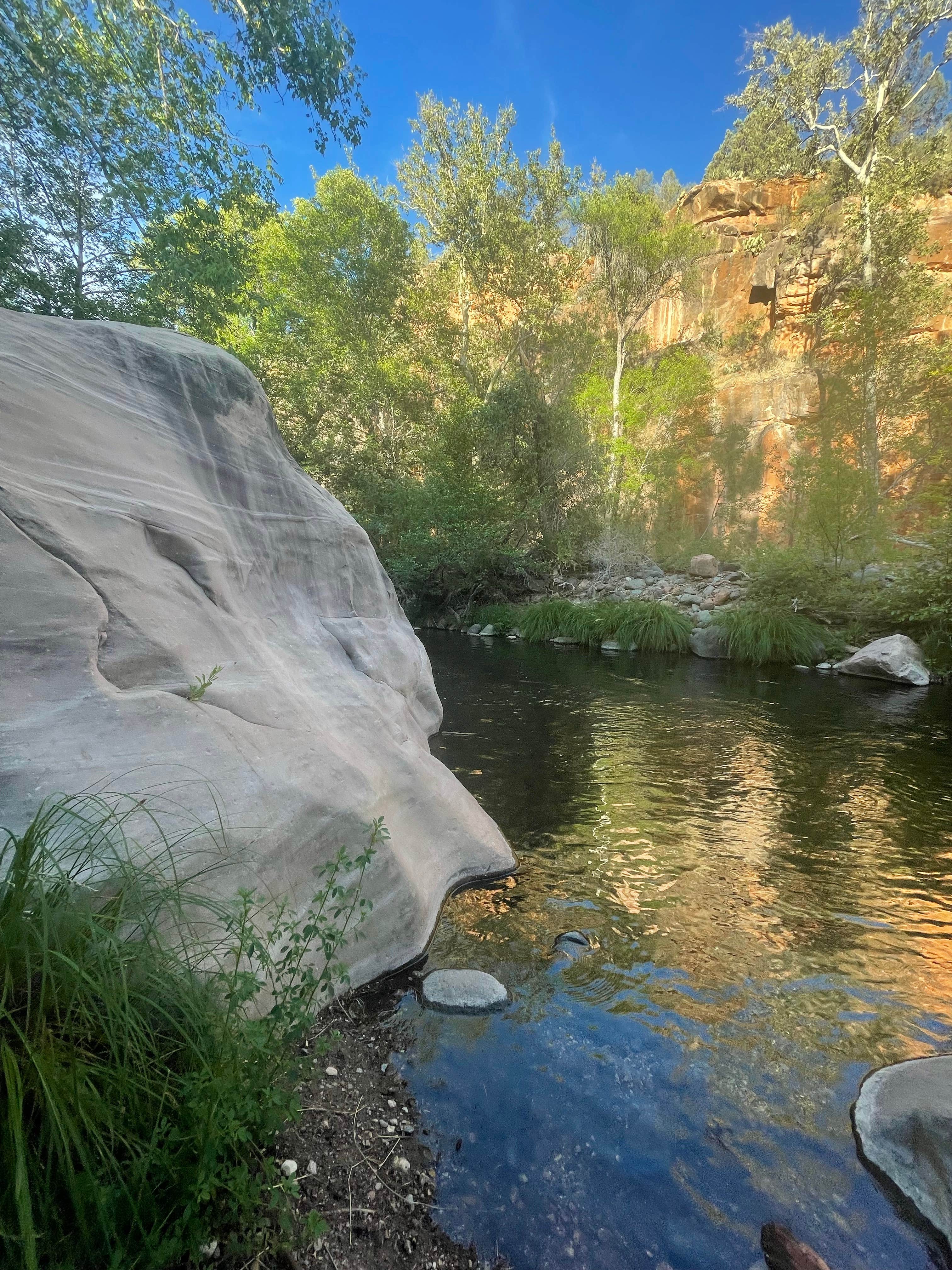 Cave Springs The Dyrt