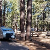 Review photo of North Rim Campground — Grand Canyon National Park by Mary S., June 8, 2018