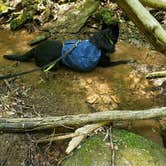 Review photo of Cedar Creek State Park Campground by David F., June 10, 2021