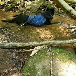 Cedar Creek State Park Campground