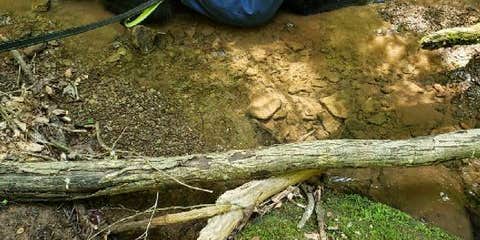 Camper submitted image from Cedar Creek State Park Campground