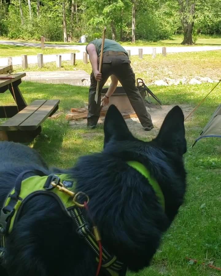 Camper-submitted photo at Cedar Creek State Park Campground near Spencer, WV