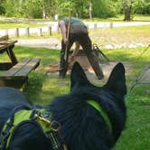 Review photo of Cedar Creek State Park Campground by David F., June 10, 2021