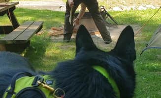 David F.'s photo of camping with pets at Cedar Creek State Park Campground in West Virginia