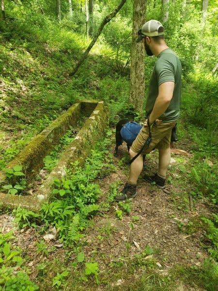 Camper-submitted photo at Cedar Creek State Park Campground near Spencer, WV