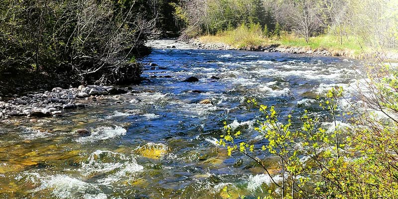 Camper submitted image from Perry's RV and Campgrounds