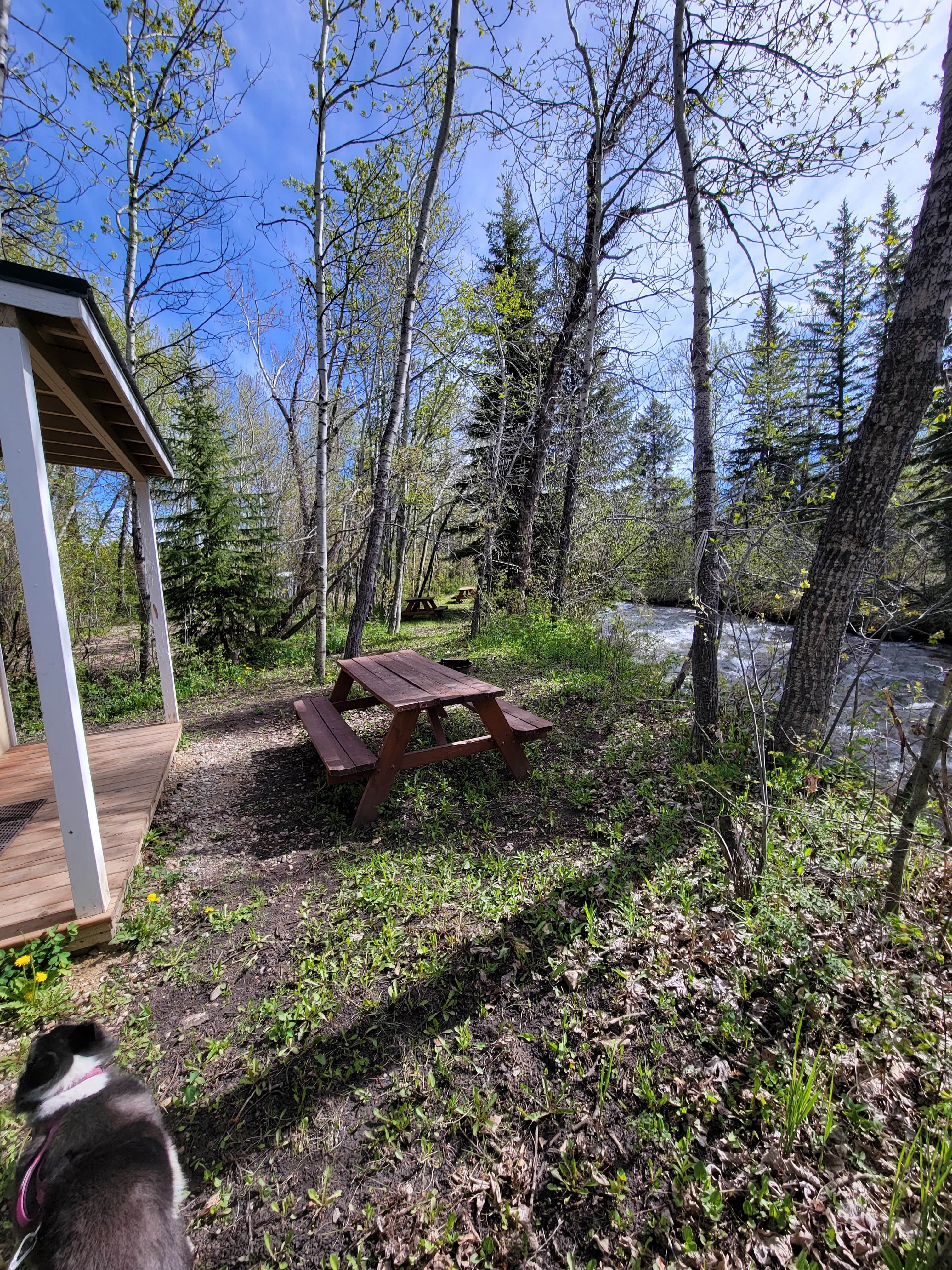 Camper submitted image from Perry's RV and Campgrounds - 4