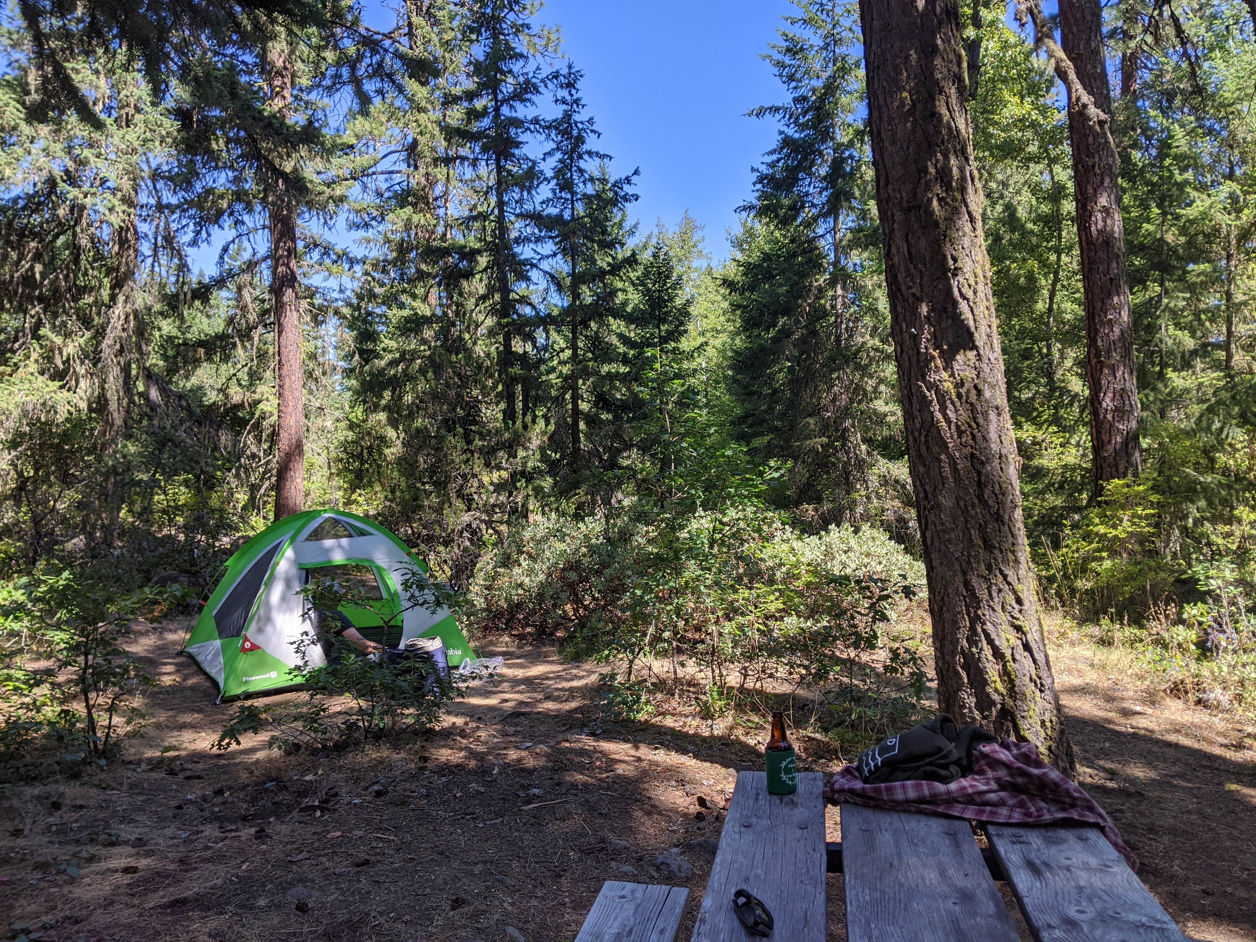 Kristina  C.'s photo at Toll Bridge Park Campground near Mosier, OR