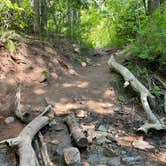 Review photo of Avalanche Campground by joe O., June 10, 2021