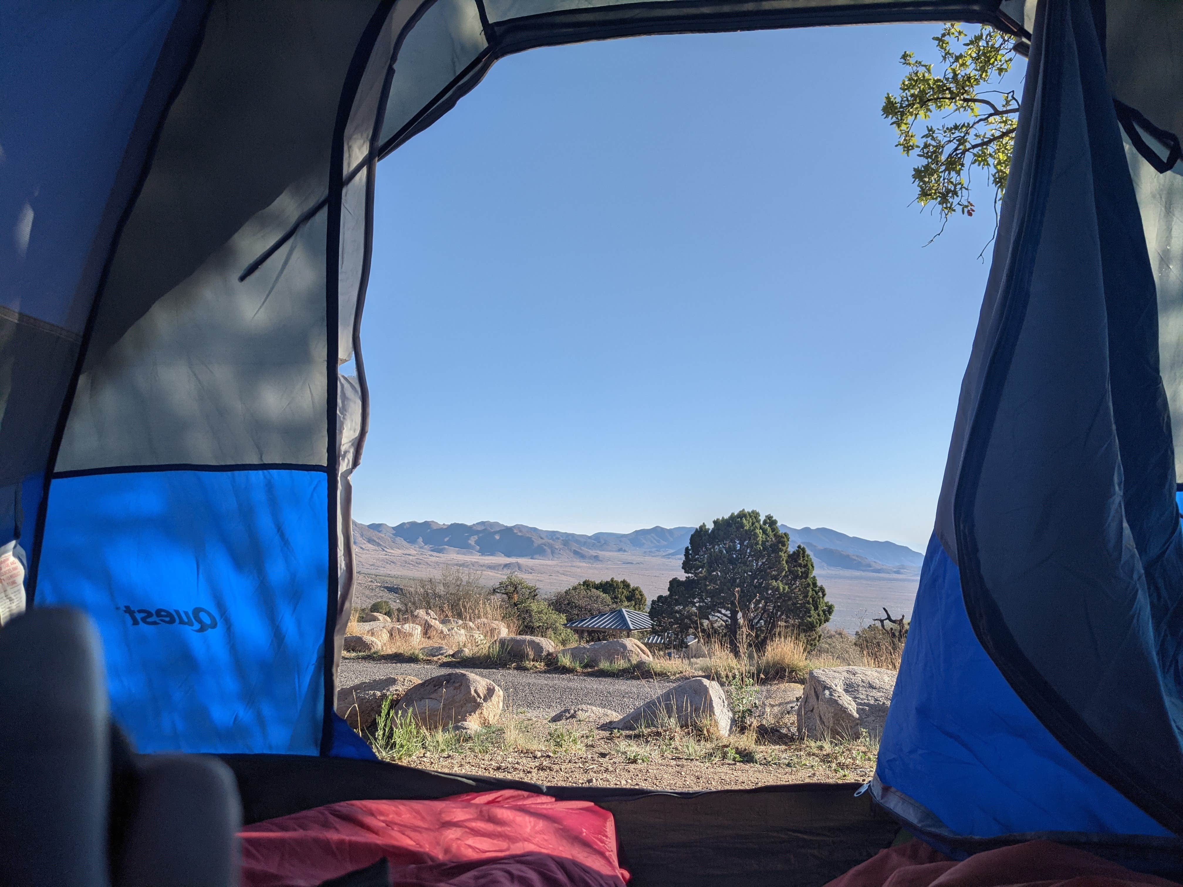View All