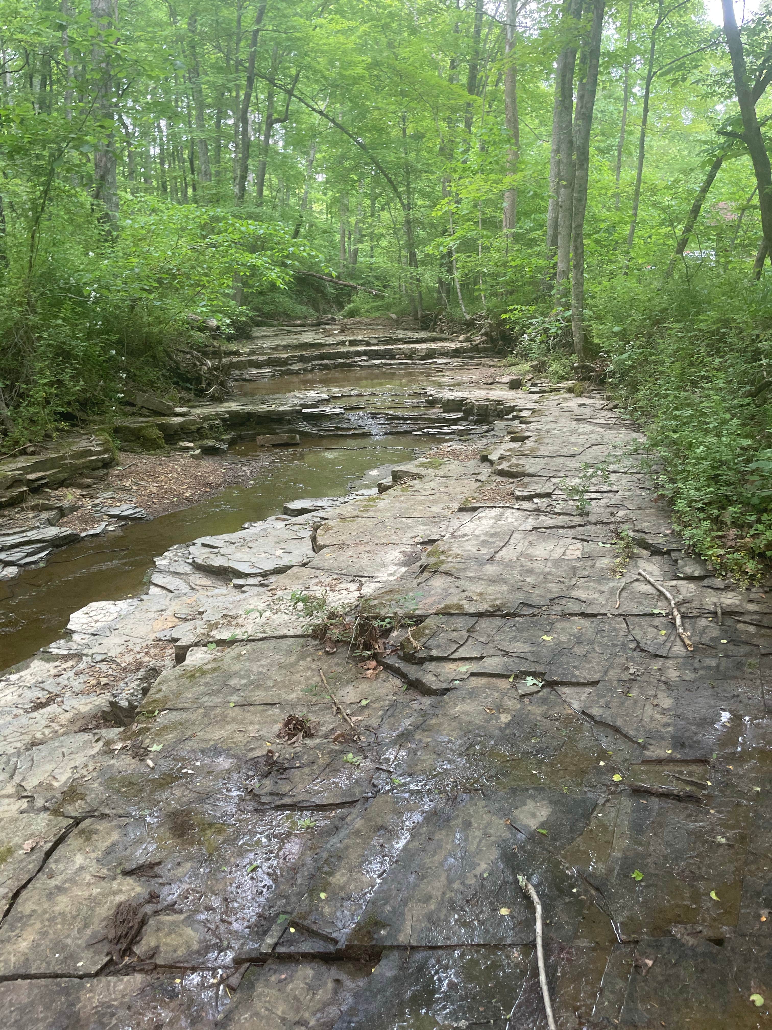 Camper-submitted photo at Celina Recreation Area near Union Star, KY