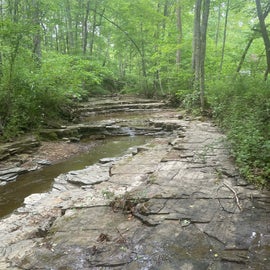 The river bed, one of the trails takes you past