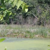 Review photo of Fox Den Campground - Chain O Lakes State Park by Debra M., June 10, 2021