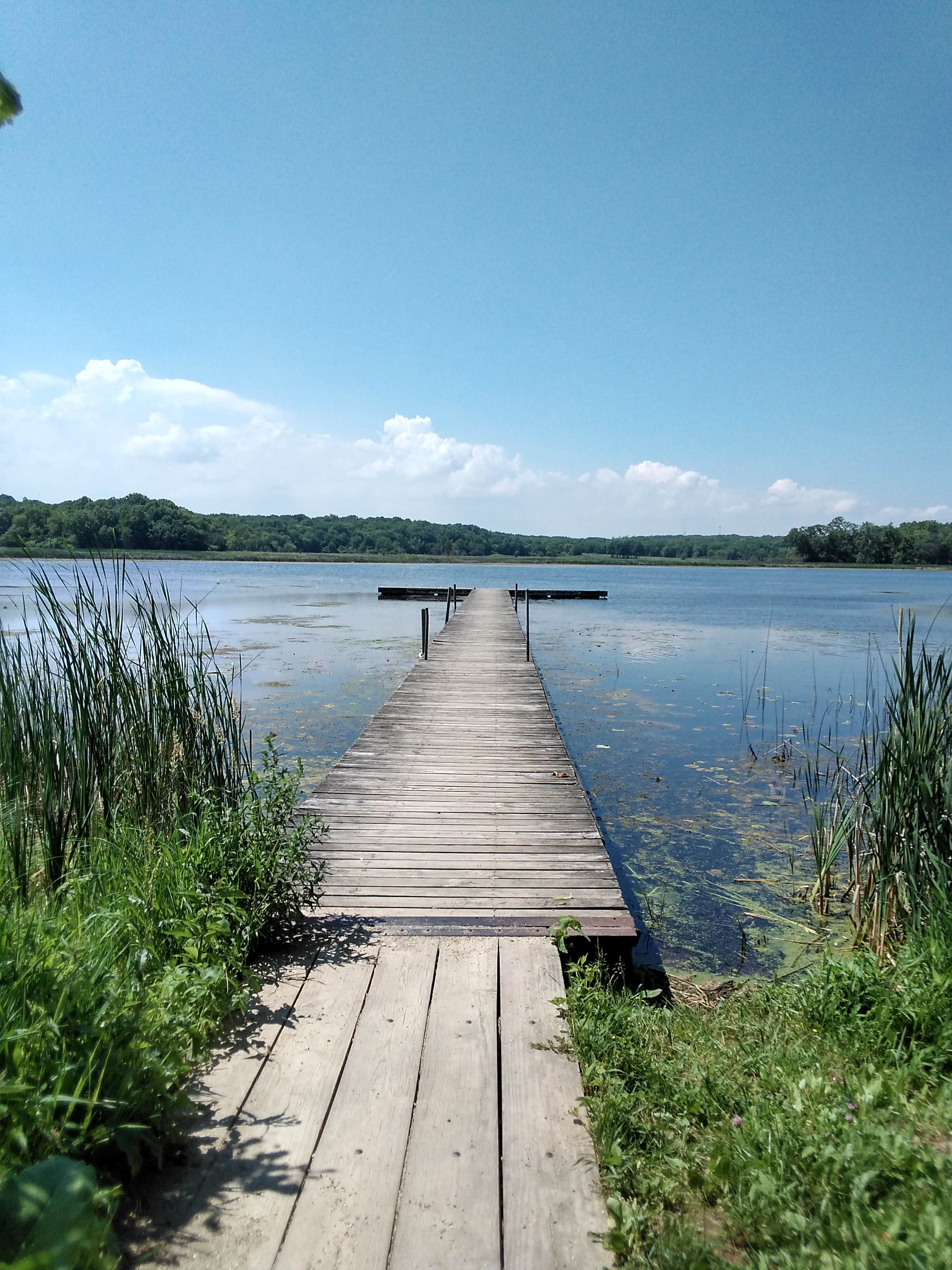 Camper submitted image from Mud Lake East — Chain O' Lakes State Park - 2