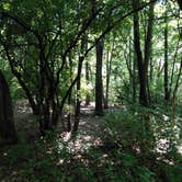 Review photo of Mud Lake East — Chain O' Lakes State Park by Debra M., June 10, 2021