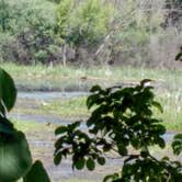 Review photo of Mud Lake East — Chain O' Lakes State Park by Debra M., June 10, 2021