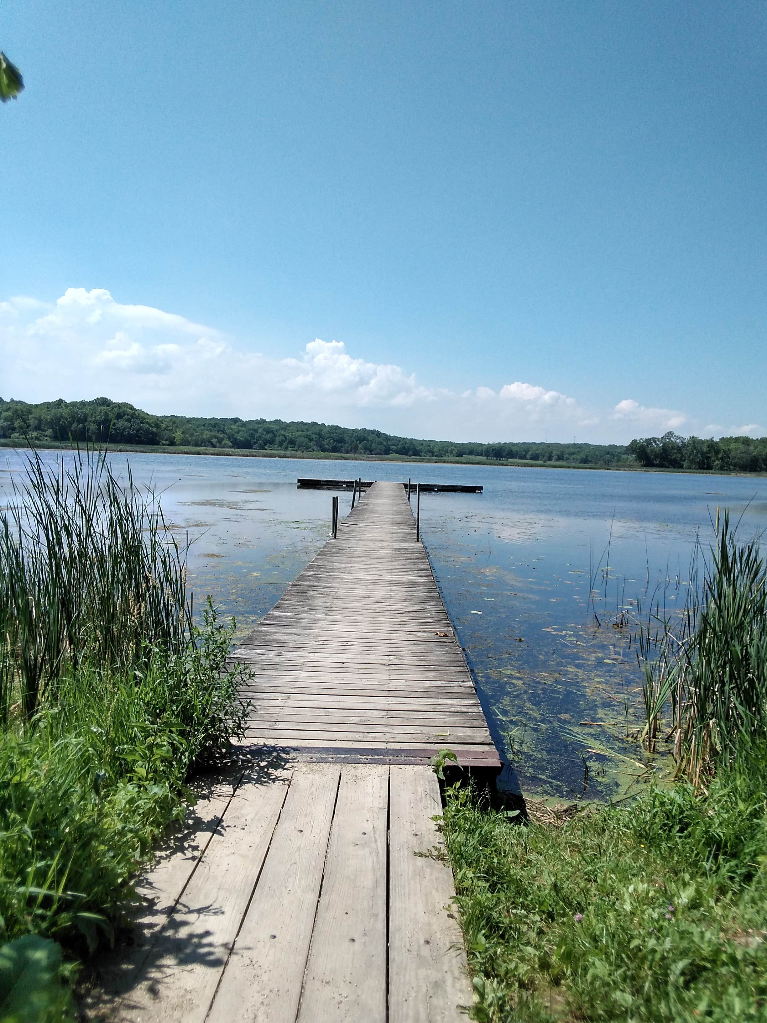 Camper submitted image from Mud Lake East — Chain O' Lakes State Park - 5