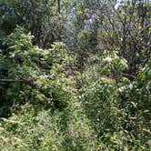 Review photo of Mud Lake East — Chain O' Lakes State Park by Debra M., June 10, 2021