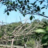 Review photo of Mud Lake East — Chain O' Lakes State Park by Debra M., June 10, 2021