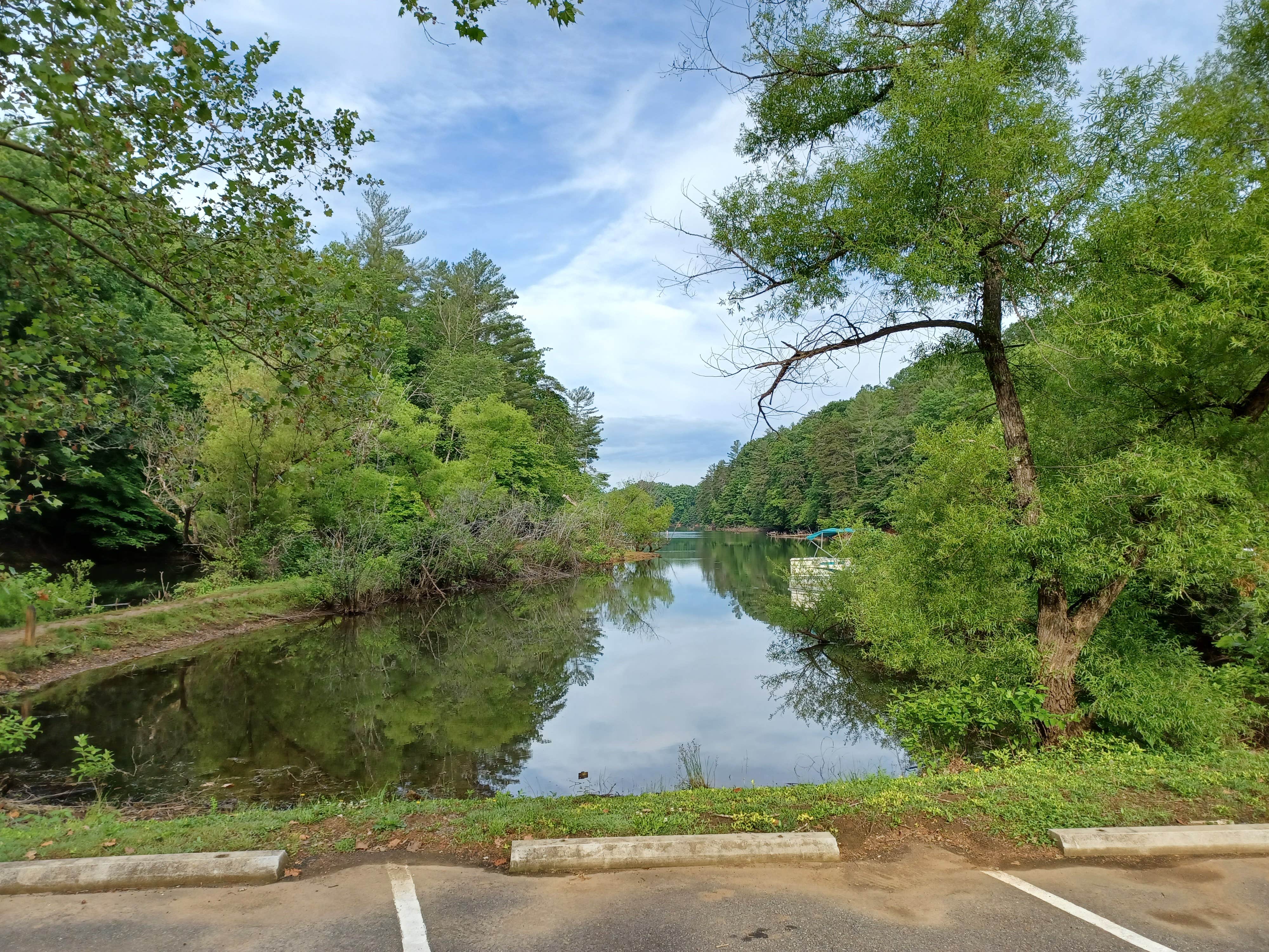 Camper submitted image from Salthouse Branch Campground - 2