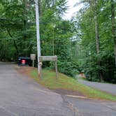 Review photo of Salthouse Branch Campground by fletcher6531 , June 10, 2021