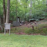 Review photo of Salthouse Branch Campground by fletcher6531 , June 10, 2021