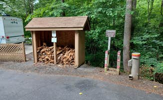 fletcher6531's photo of camping with pets at Salthouse Branch Campground near Claudville, VA