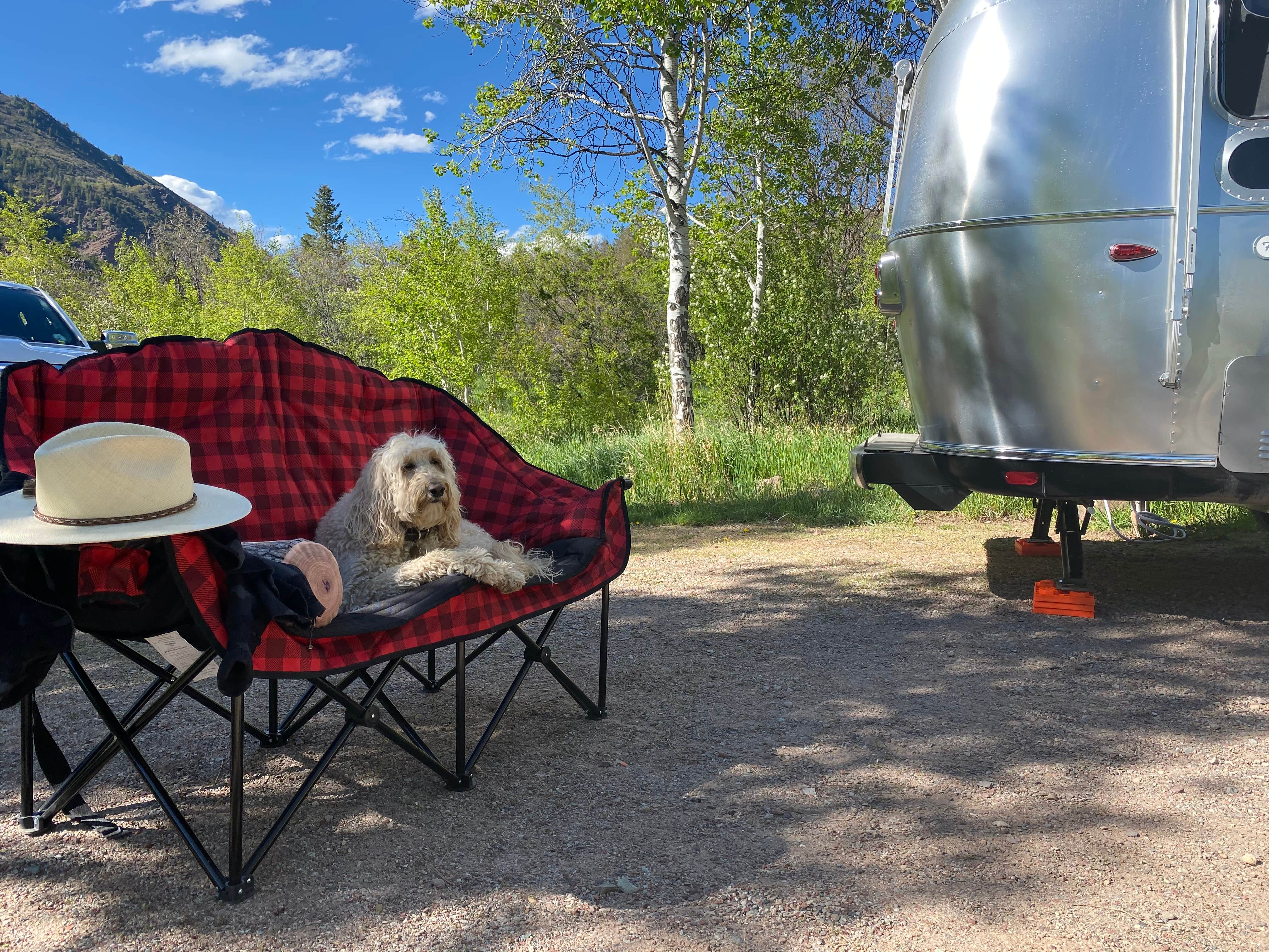 Rebeca H.'s photo of camping with pets at Redstone White River National Forest near Aspen, CO