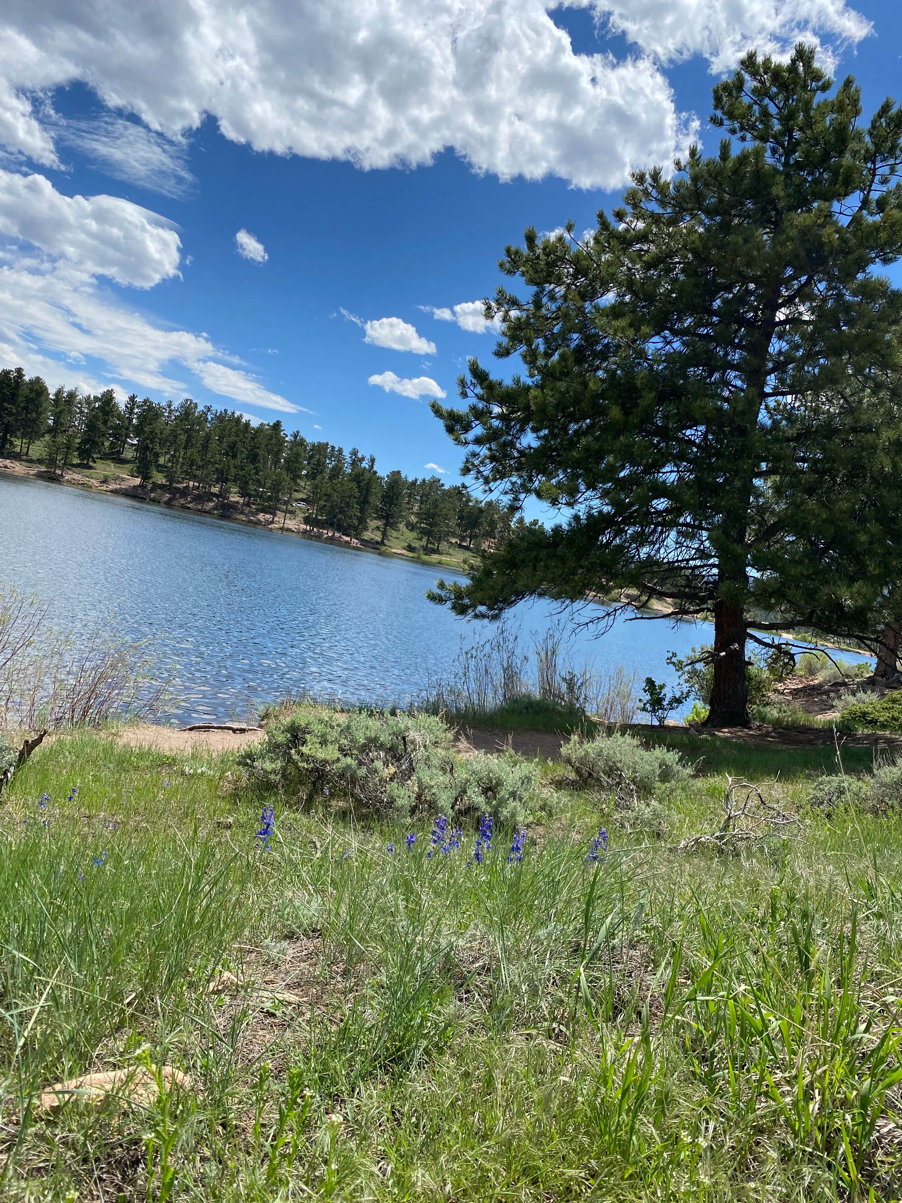 West Lake | The Dyrt