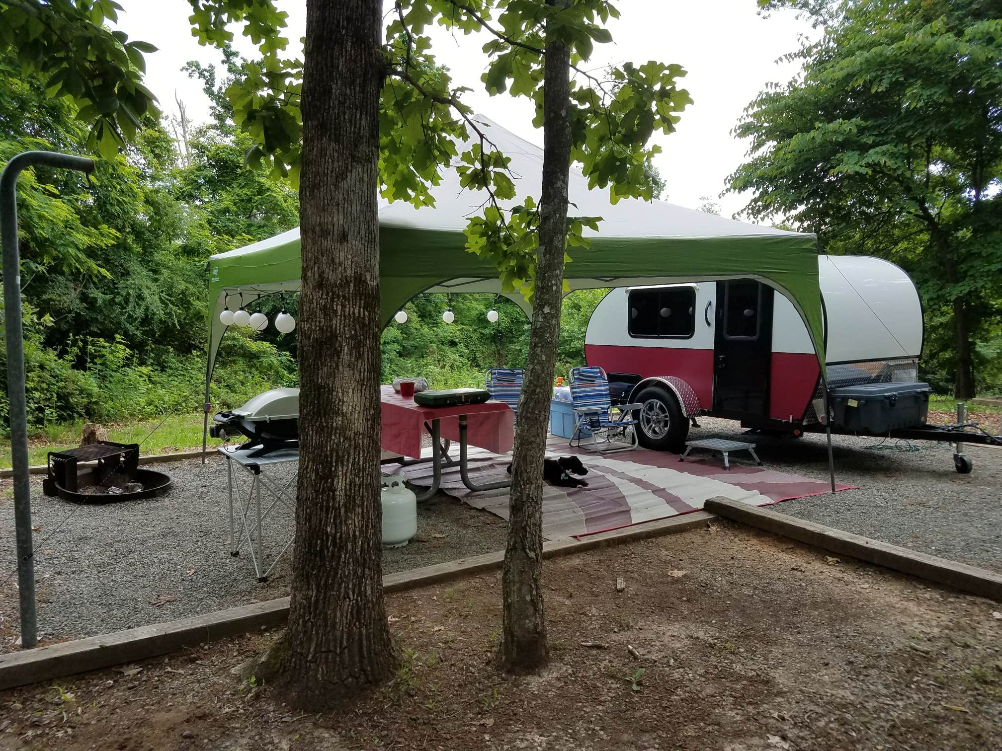 Camper submitted image from Staunton River State Park Campground - 5