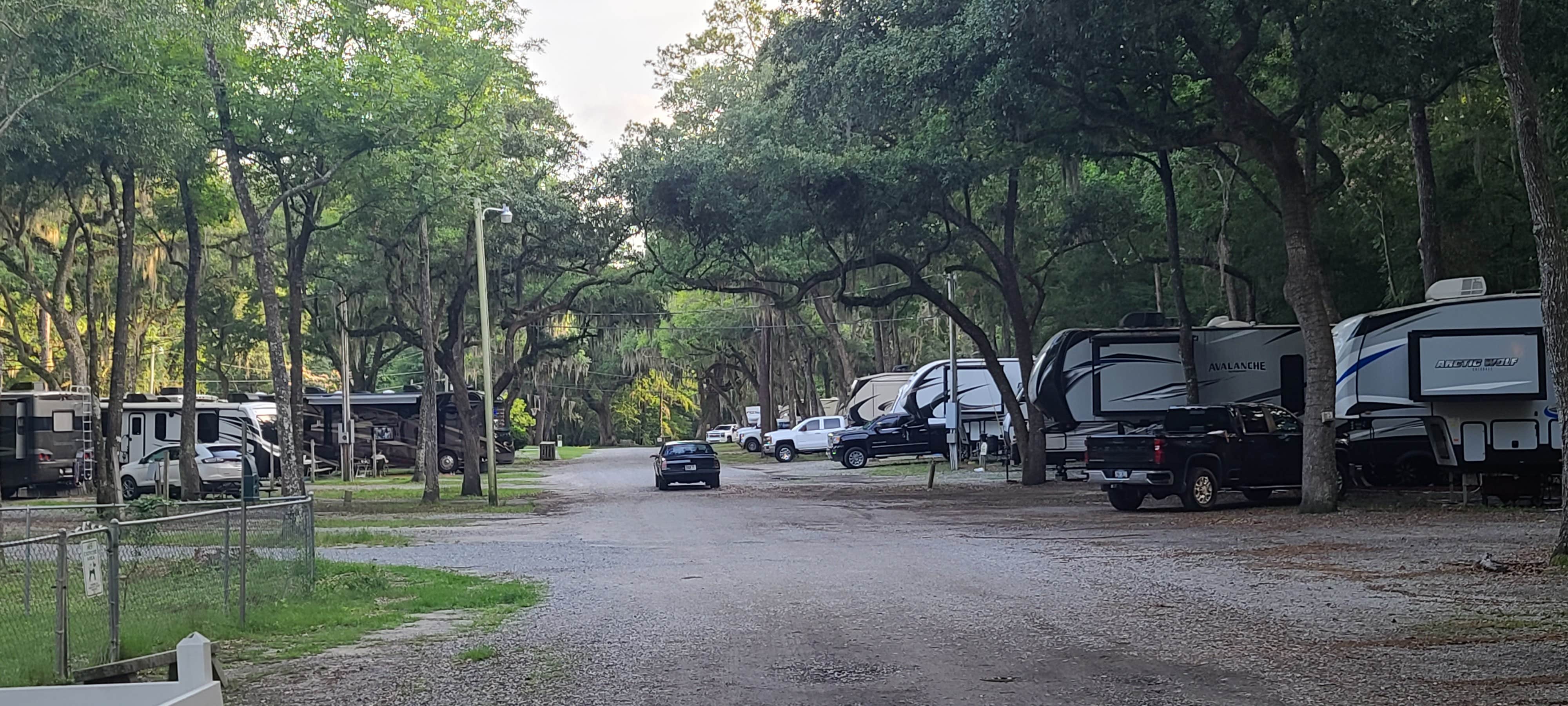 Savannah Oaks RV Resort The Dyrt