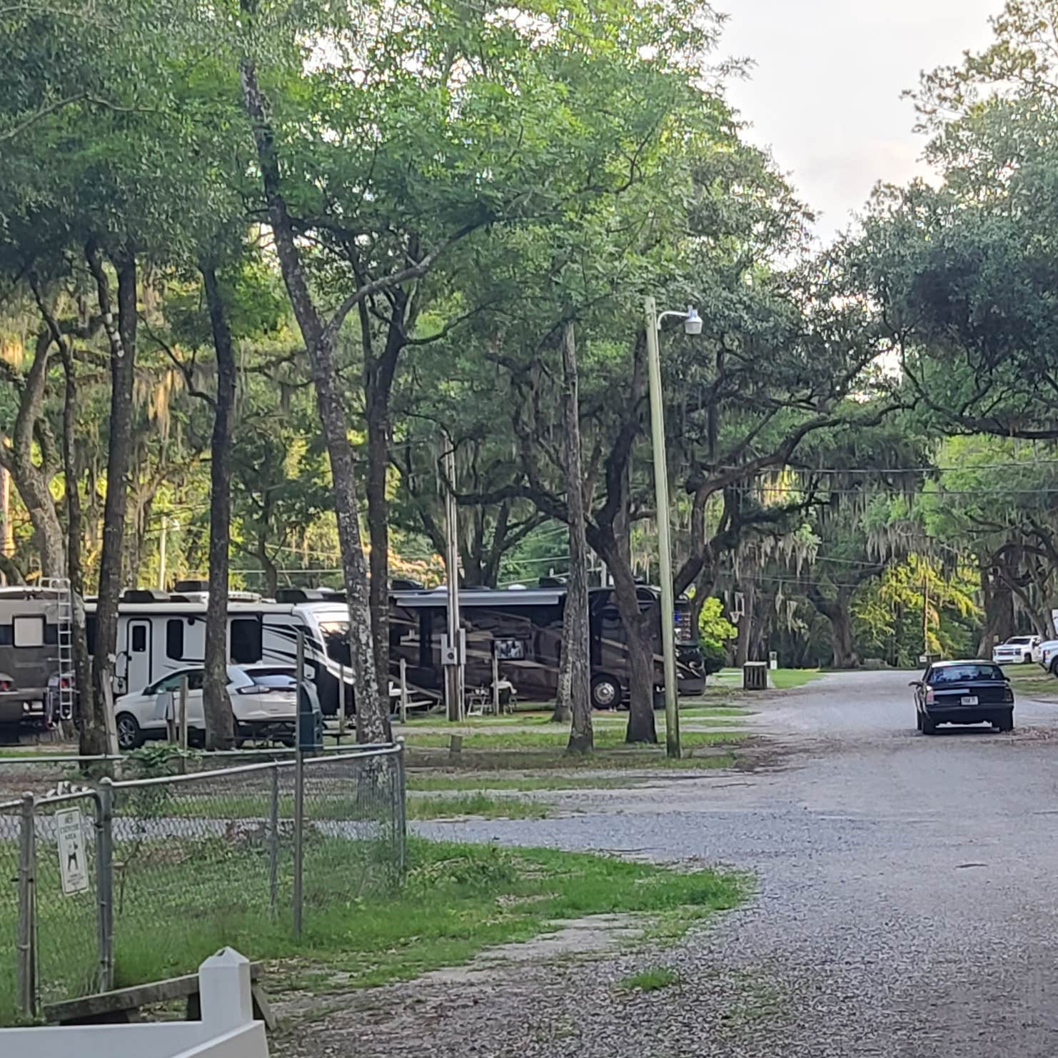 Savannah Rv Savannah Oaks RV Resort | The Dyrt