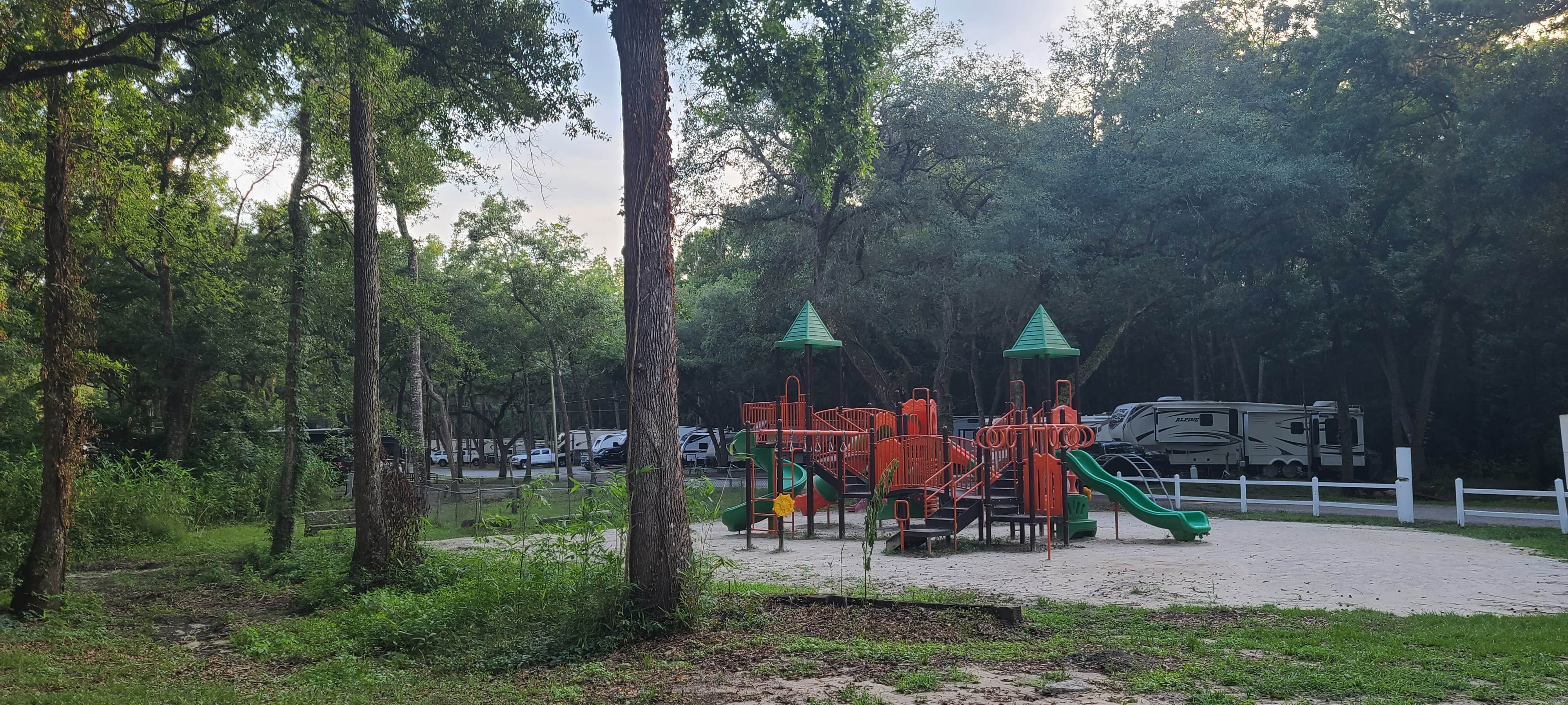 Camper submitted image from Spacious Skies Savannah Oaks - 4
