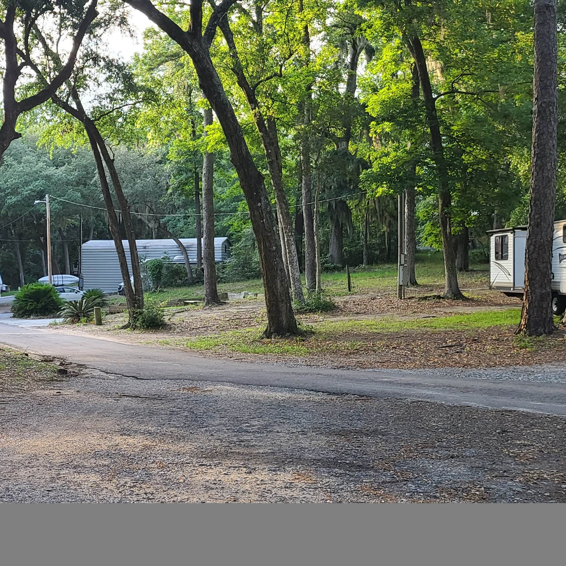 Spacious Skies Campgrounds Savannah Oaks Camping The Dyrt
