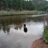 Review photo of Platte River Campground by Mark G., June 11, 2021