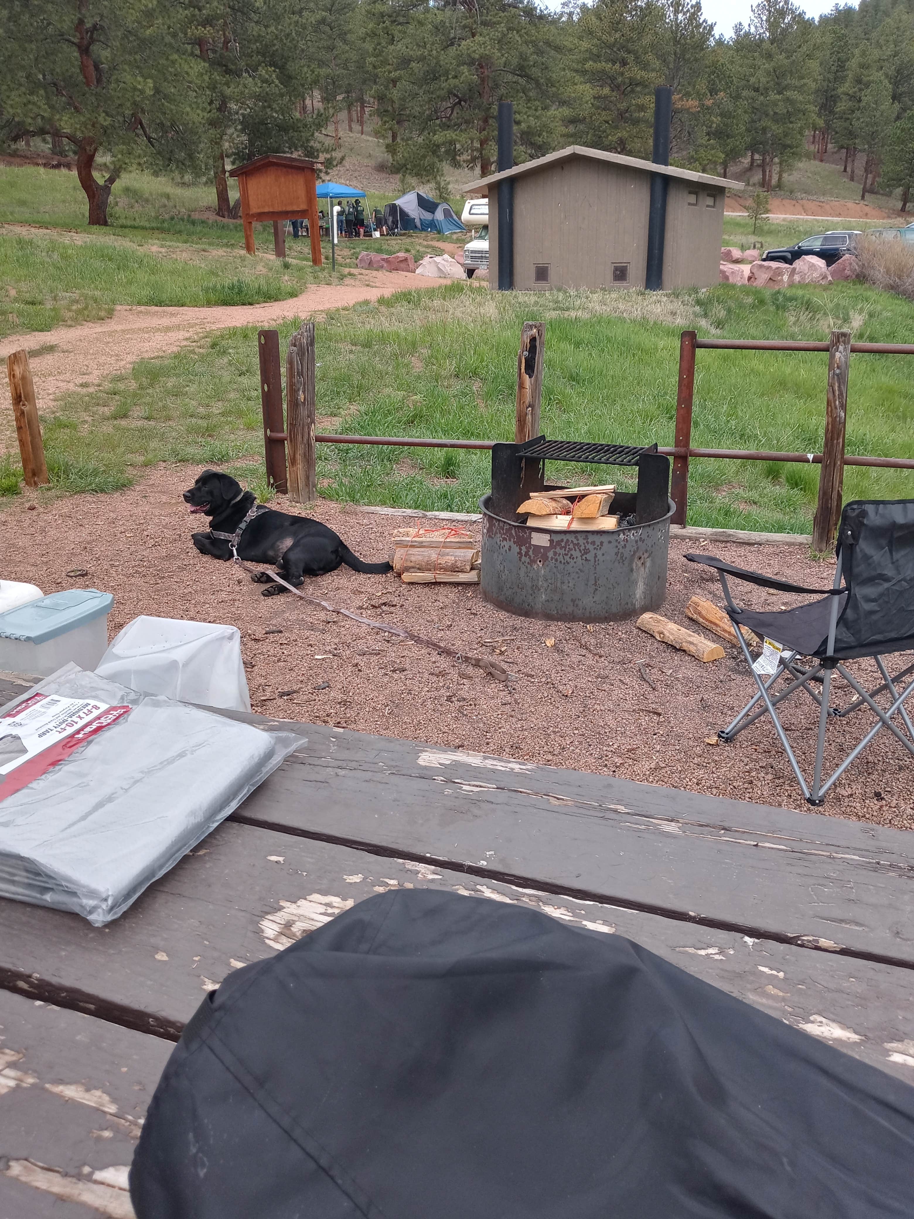 Mark G.'s photo of camping with pets at Platte River Campground near Castle Rock, CO