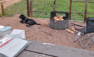 Mark G.'s photo of camping with pets at Platte River Campground near Castle Rock, CO