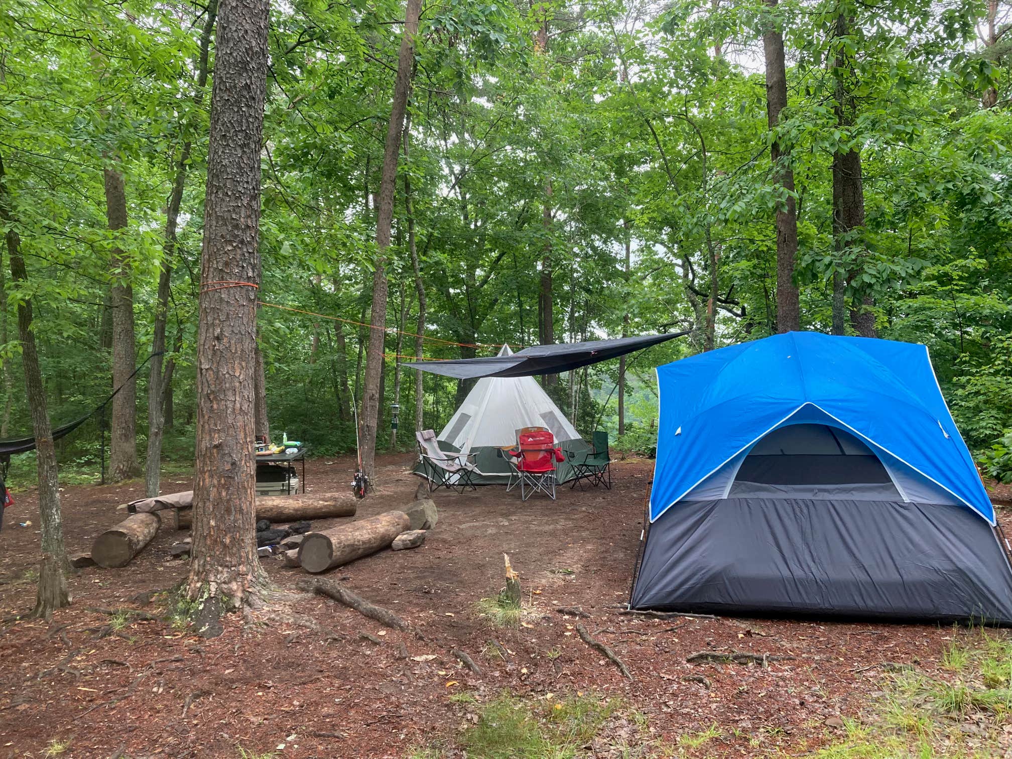 william L.'s photo of tent camping at Foster Falls Campground — South Cumberland State Park near McMinnville, TN