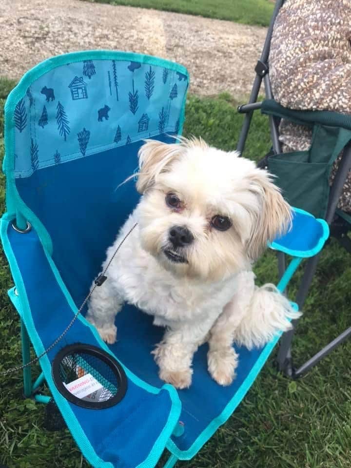 Courtney A.'s photo of camping with pets at Steamboat Park Campground near Holland, MI