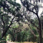 Review photo of Jekyll Island Campground by Brett D., June 11, 2021