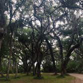 Review photo of Jekyll Island Campground by Brett D., June 11, 2021