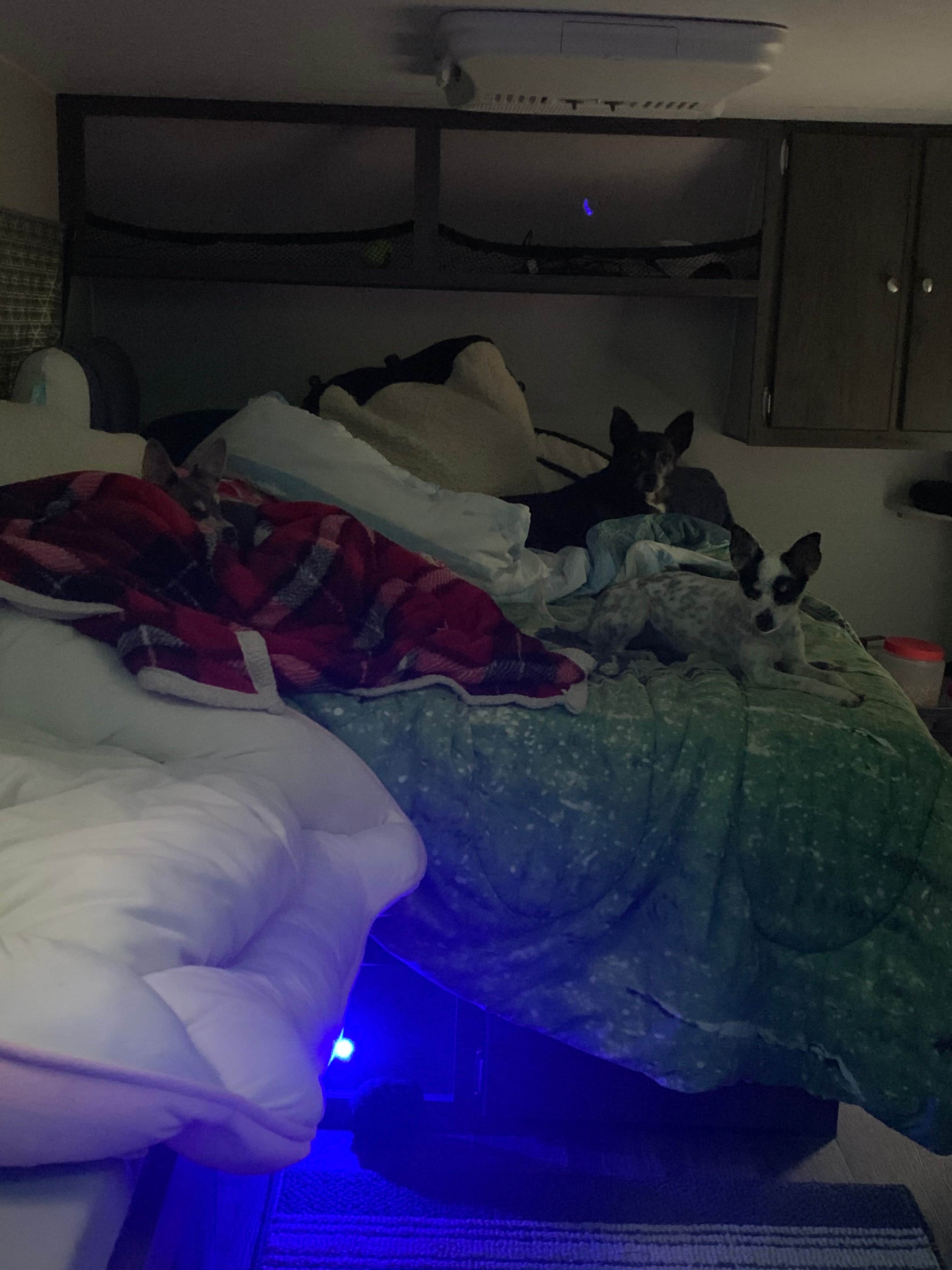 Brett D.'s photo of glamping accommodations at Lake Winfield Scott Campground near Murphy, NC